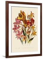 Bright Gladioli-null-Framed Giclee Print