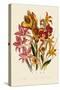 Bright Gladioli-null-Stretched Canvas