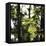 Bright green fresh foliage in the forest in the sunlight.-Nadja Jacke-Framed Stretched Canvas