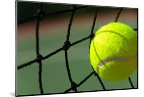 Bright Greenish, Yellow Tennis Ball on Freshly Painted Cement Court-flippo-Mounted Photographic Print