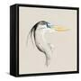 Bright Heron Sketch I-Emma Caroline-Framed Stretched Canvas