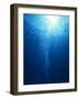 Bright Light Shooting To Surface of Deep Blue Sea with Trail of Bubbles-null-Framed Photographic Print