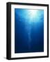 Bright Light Shooting To Surface of Deep Blue Sea with Trail of Bubbles-null-Framed Photographic Print