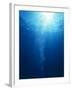 Bright Light Shooting To Surface of Deep Blue Sea with Trail of Bubbles-null-Framed Photographic Print