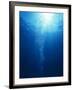 Bright Light Shooting To Surface of Deep Blue Sea with Trail of Bubbles-null-Framed Photographic Print