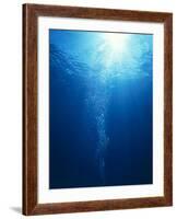 Bright Light Shooting To Surface of Deep Blue Sea with Trail of Bubbles-null-Framed Photographic Print