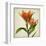 Bright Lily I-Judy Stalus-Framed Art Print