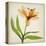 Bright Lily II-Judy Stalus-Stretched Canvas