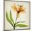 Bright Lily II-Judy Stalus-Mounted Art Print