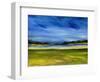 Bright Marsh III-Erin McGee Ferrell-Framed Art Print