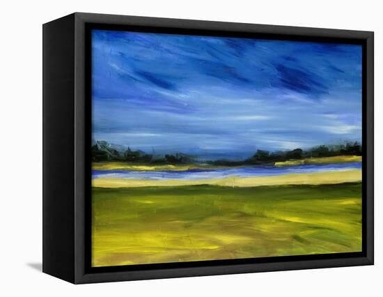Bright Marsh III-Erin McGee Ferrell-Framed Stretched Canvas