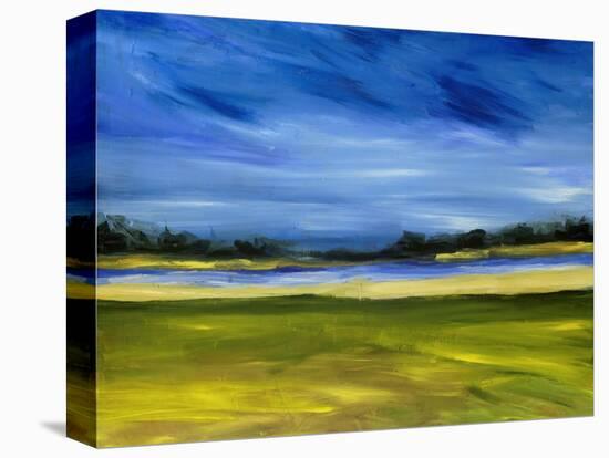 Bright Marsh III-Erin McGee Ferrell-Stretched Canvas