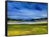 Bright Marsh III-Erin McGee Ferrell-Framed Stretched Canvas