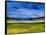 Bright Marsh III-Erin McGee Ferrell-Framed Stretched Canvas