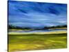 Bright Marsh III-Erin McGee Ferrell-Stretched Canvas