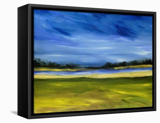 Bright Marsh III-Erin McGee Ferrell-Framed Stretched Canvas