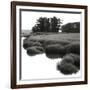 Bright Mist on the Marsh-Dorothy Kerper Monnelly-Framed Art Print