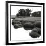 Bright Mist on the Marsh-Dorothy Kerper Monnelly-Framed Art Print