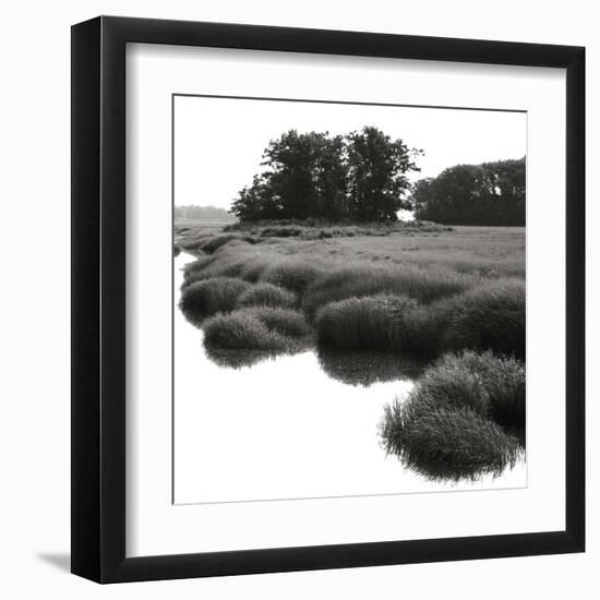 Bright Mist on the Marsh-Dorothy Kerper Monnelly-Framed Art Print