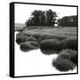 Bright Mist on the Marsh-Dorothy Kerper Monnelly-Framed Stretched Canvas