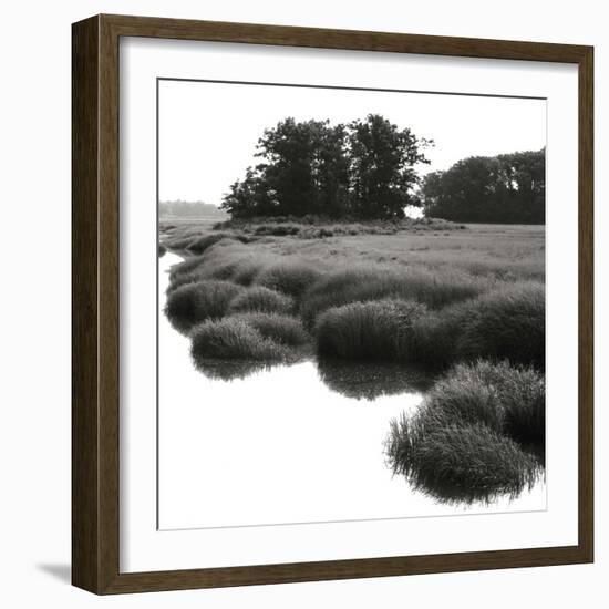 Bright Mist on the Marsh-Dorothy Kerper Monnelly-Framed Art Print