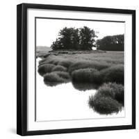 Bright Mist on the Marsh-Dorothy Kerper Monnelly-Framed Art Print