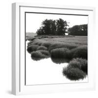 Bright Mist on the Marsh-Dorothy Kerper Monnelly-Framed Art Print