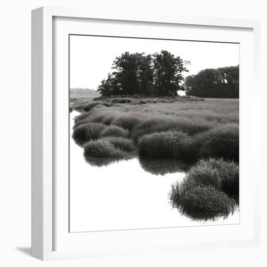 Bright Mist on the Marsh-Dorothy Kerper Monnelly-Framed Art Print