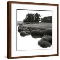 Bright Mist on the Marsh-Dorothy Kerper Monnelly-Framed Art Print