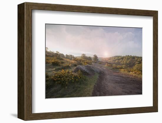 Bright Moor-Viviane Fedieu Danielle-Framed Photographic Print