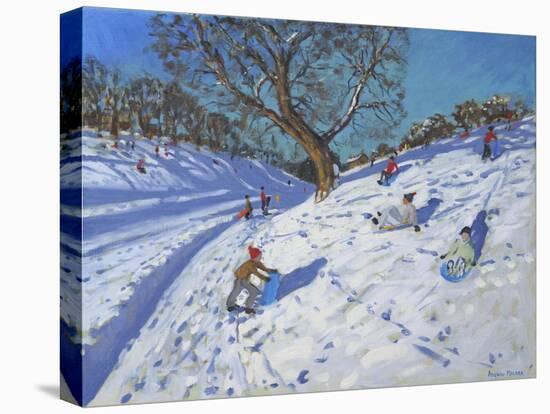 Bright Morning, Chatsworth, 2013-Andrew Macara-Stretched Canvas