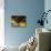 Bright Morning-Mikael Svensson-Mounted Giclee Print displayed on a wall