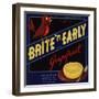 Bright n Early Brand - Canoga Park, California - Citrus Crate Label-Lantern Press-Framed Art Print