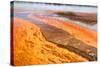 Bright Orange Bacterial Formations at the Geysers in Yellowstone National Park-SNEHITDESIGN-Stretched Canvas