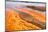 Bright Orange Bacterial Formations at the Geysers in Yellowstone National Park-SNEHITDESIGN-Mounted Photographic Print
