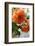 Bright orange flowers on display on kitchen table-Stacy Bass-Framed Photo