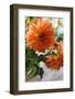 Bright orange flowers on display on kitchen table-Stacy Bass-Framed Photo