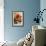 Bright orange flowers on display on kitchen table-Stacy Bass-Framed Photo displayed on a wall