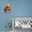 Bright orange flowers on display on kitchen table-Stacy Bass-Mounted Photo displayed on a wall