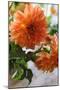 Bright orange flowers on display on kitchen table-Stacy Bass-Mounted Photo