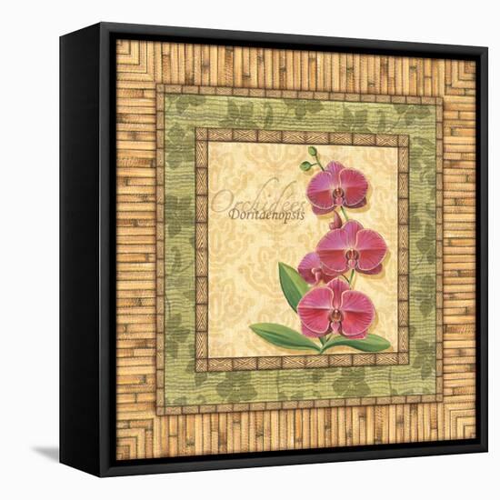 Bright Orchids IV-Charlene Audrey-Framed Stretched Canvas