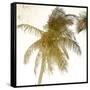 Bright Palm Gold 1-Kimberly Allen-Framed Stretched Canvas