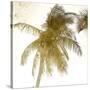 Bright Palm Gold 1-Kimberly Allen-Stretched Canvas