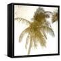 Bright Palm Gold 1-Kimberly Allen-Framed Stretched Canvas