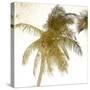 Bright Palm Gold 1-Kimberly Allen-Stretched Canvas