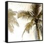 Bright Palm Gold 2-Kimberly Allen-Framed Stretched Canvas