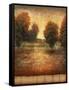 Bright Passage-Jason Javara-Framed Stretched Canvas