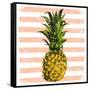 Bright Pineapple on Striped Background-mart_m-Framed Stretched Canvas