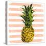 Bright Pineapple on Striped Background-mart_m-Stretched Canvas