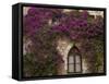 Bright Pink Bougainvillea, Eze, Provence, France-Wendy Kaveney-Framed Stretched Canvas